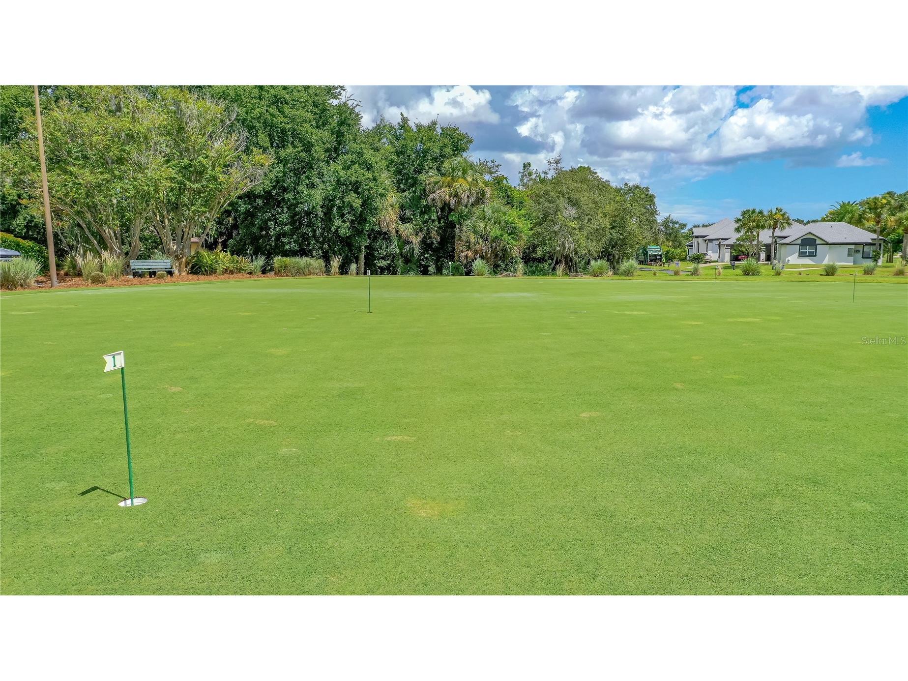 727 Grape Ivy Lane New Smyrna Beach FL 32168 V4947843 image47