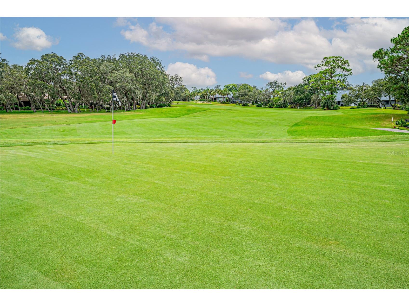 727 Grape Ivy Lane New Smyrna Beach FL 32168 V4947843 image48
