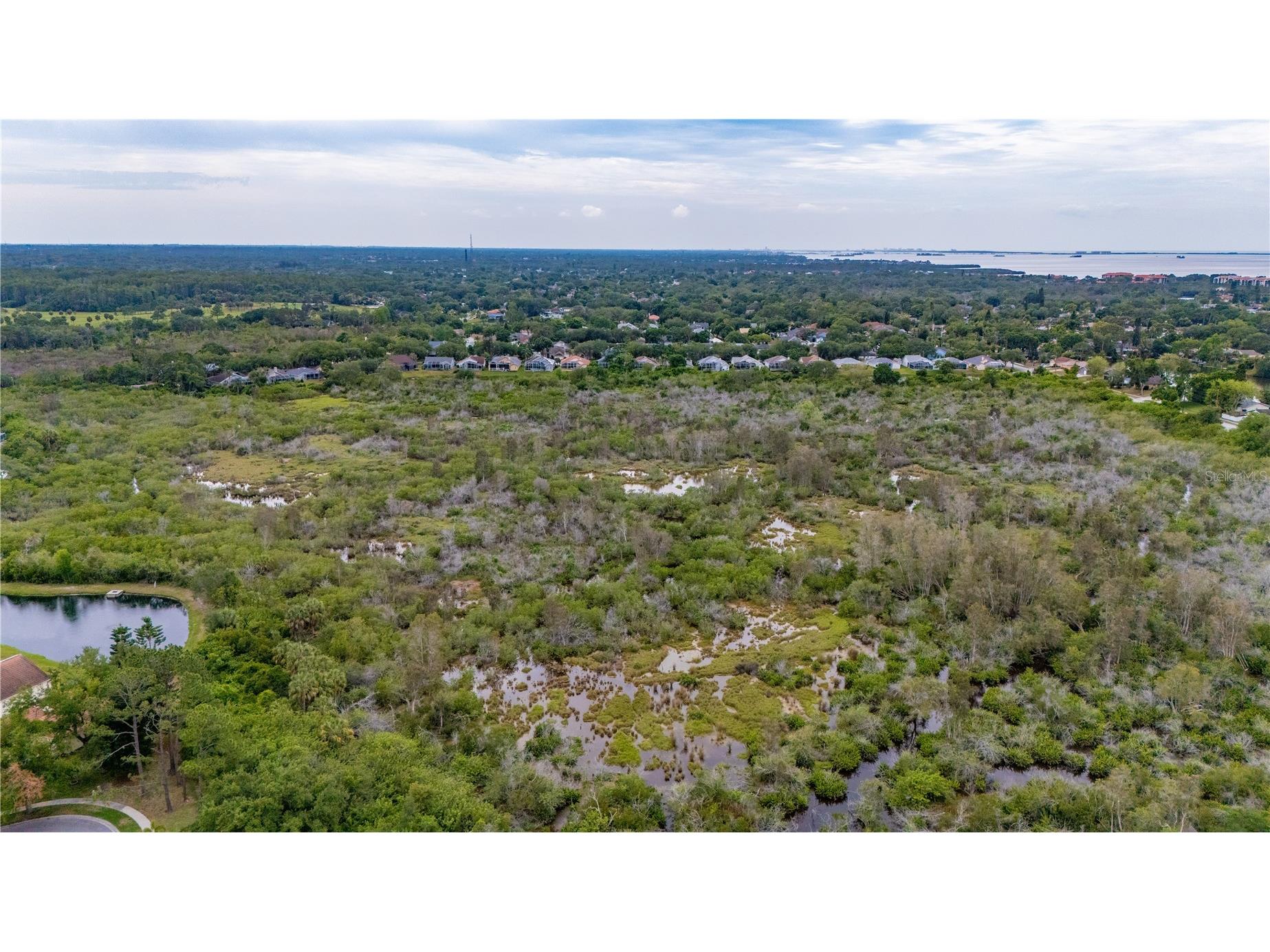 727 Hidden Lake Drive Tarpon Springs FL 34689 TB8509228 image59