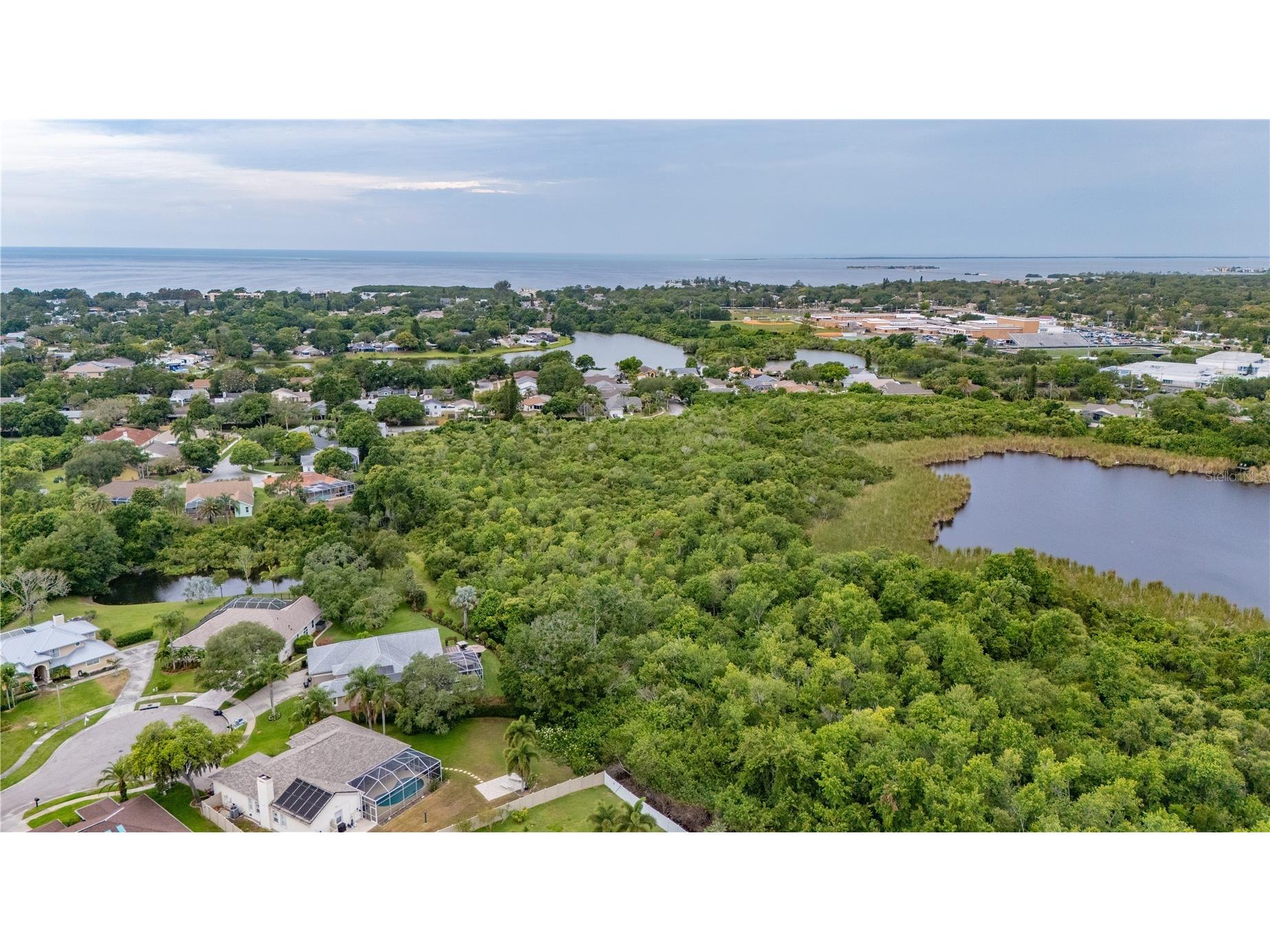 727 Hidden Lake Drive Tarpon Springs FL 34689 TB8509228 image60
