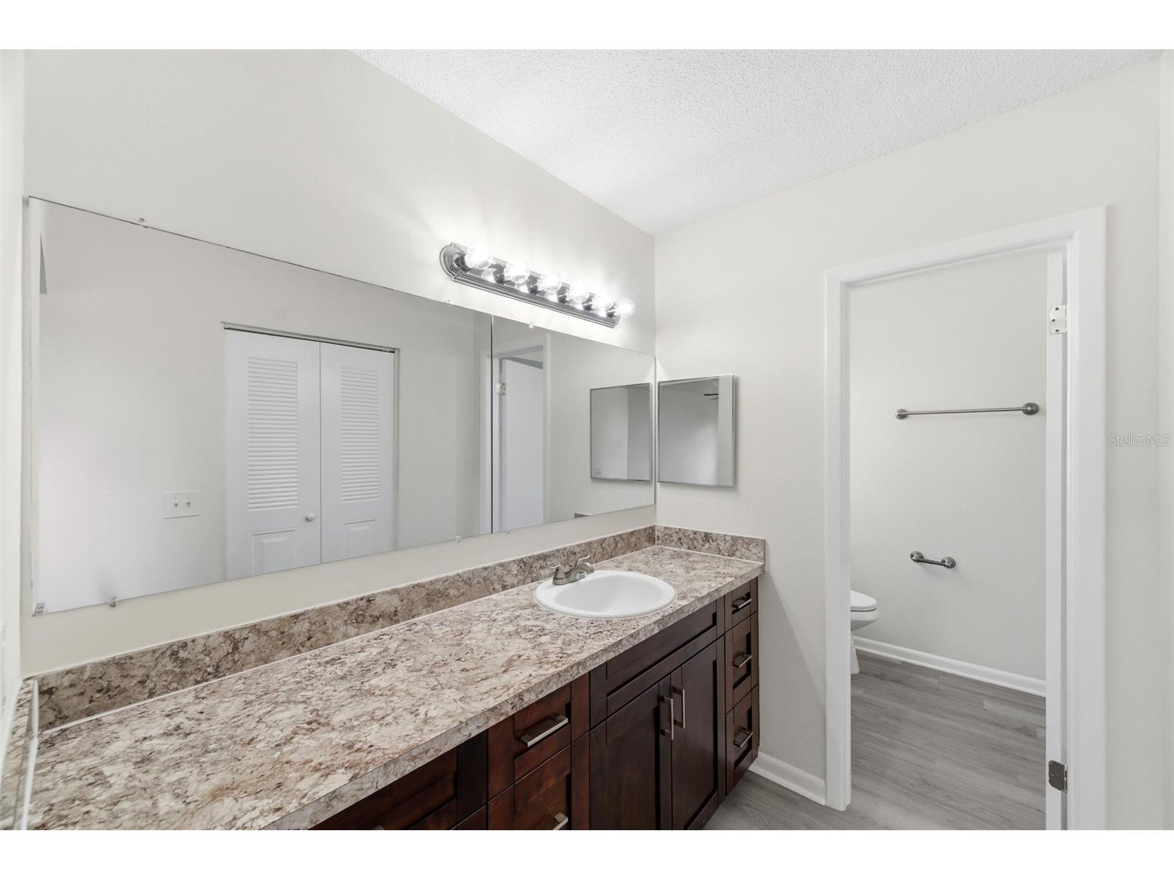 727 Isleton Drive Brandon FL 33511 TB8487982 image22