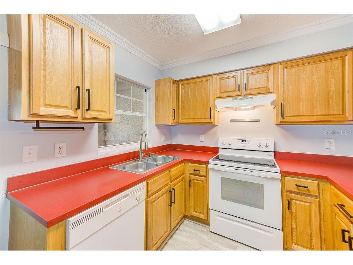 727 Kensington Lake Circle Brandon FL 33511 TB8388376 image13