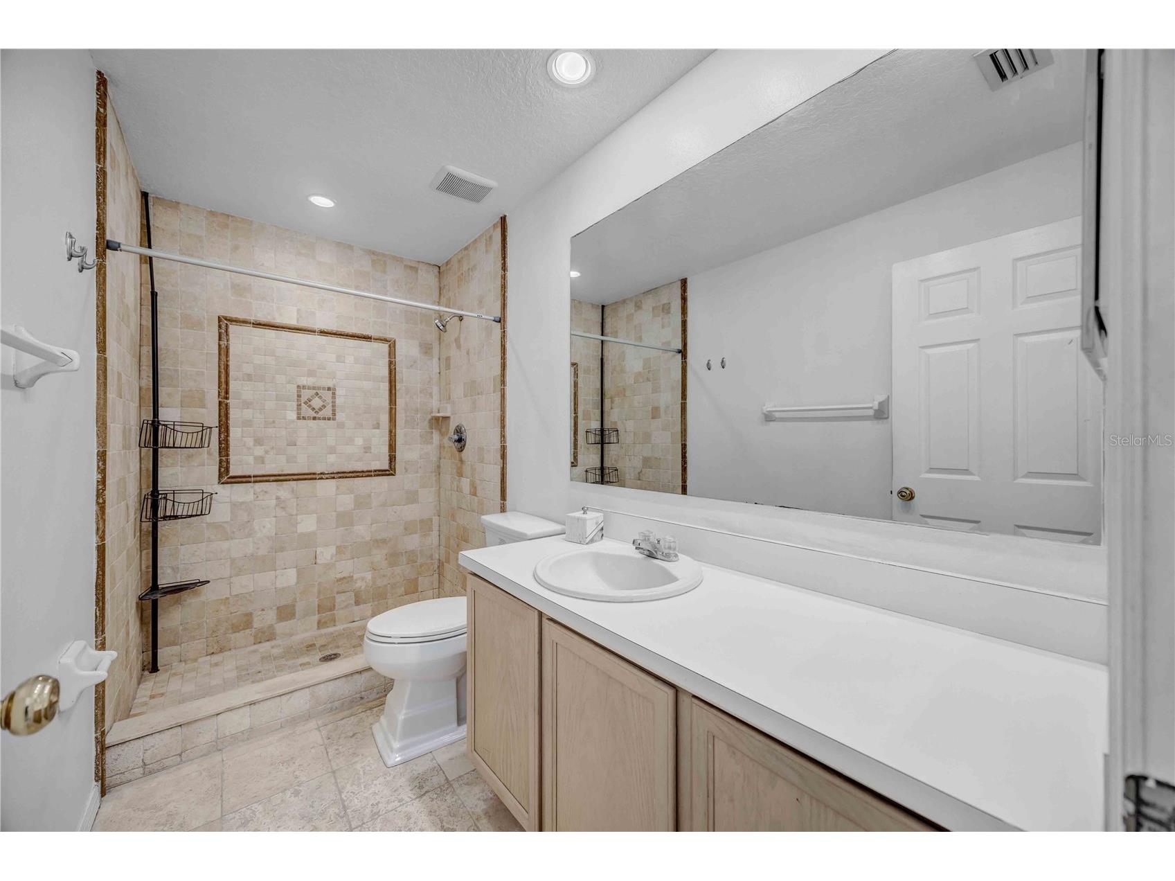 727 Kensington Lake Circle Brandon FL 33511 TB8499409 image43
