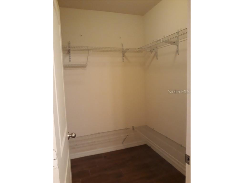 727 Lake Douglas Drive Groveland FL 34736 S5133958 image11