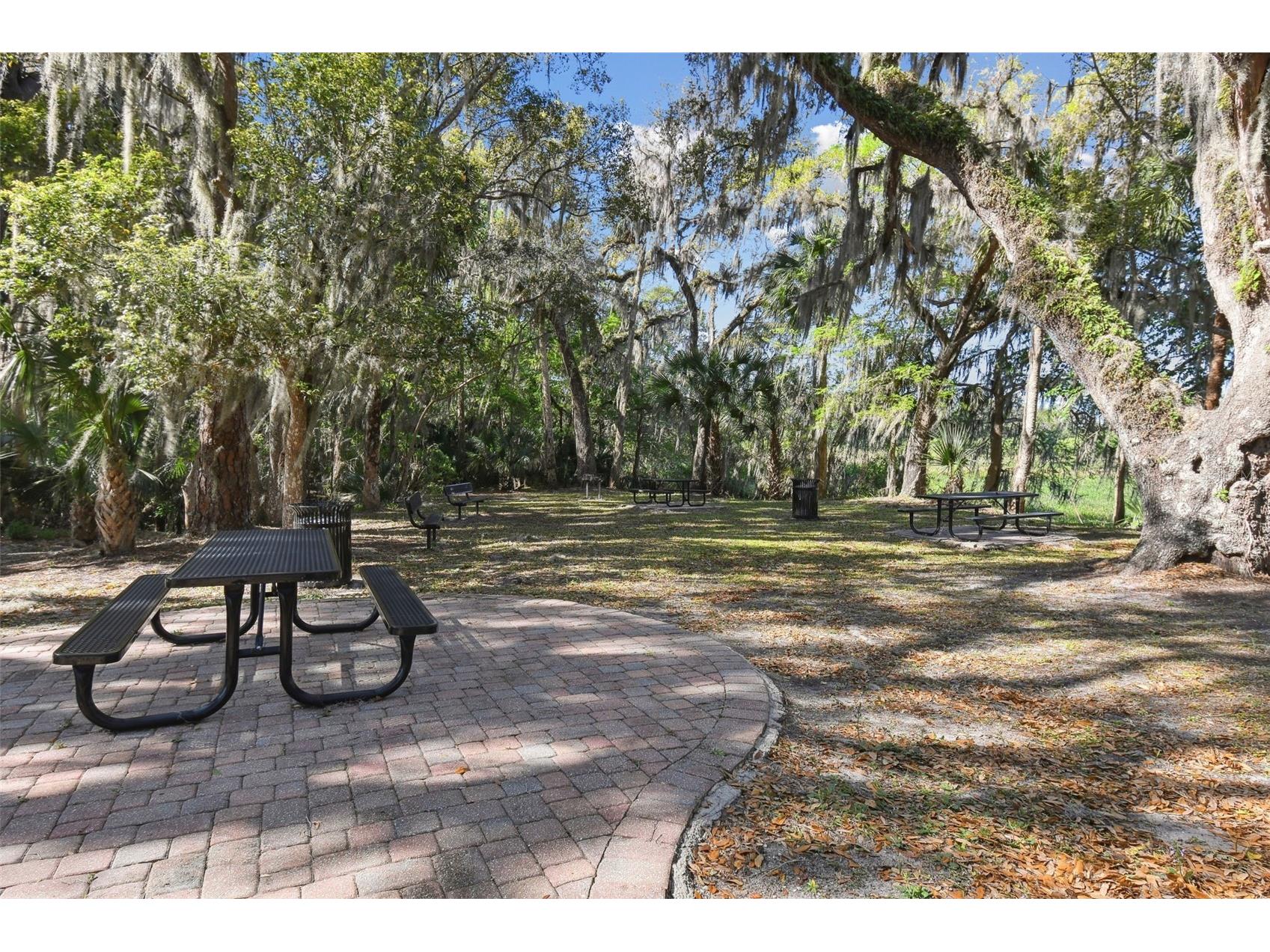 727 Lazio Circle Debary FL 32713 O6396798 image63