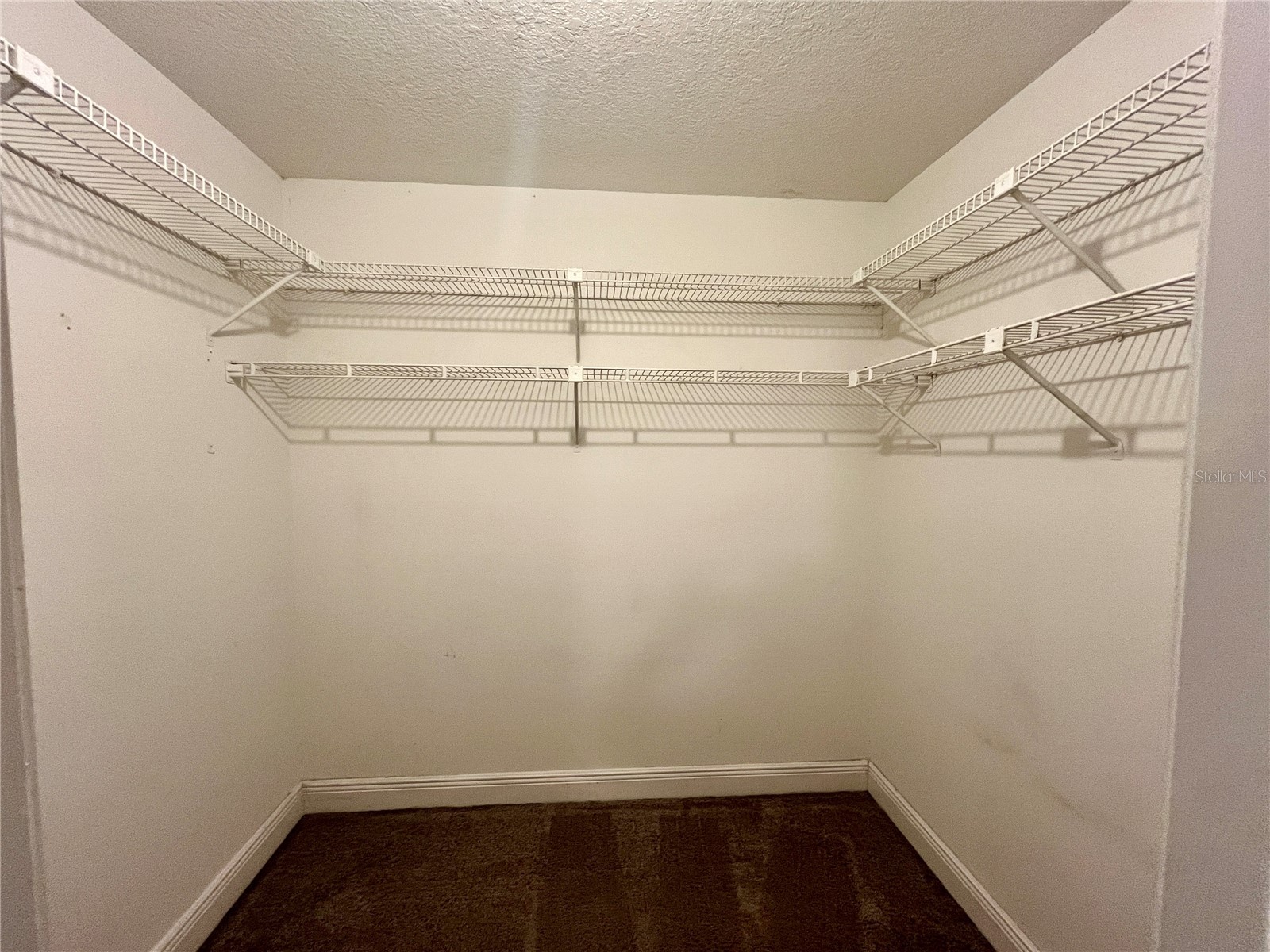 727 N Himes Avenue Tampa FL 33609 TB8488559 image19