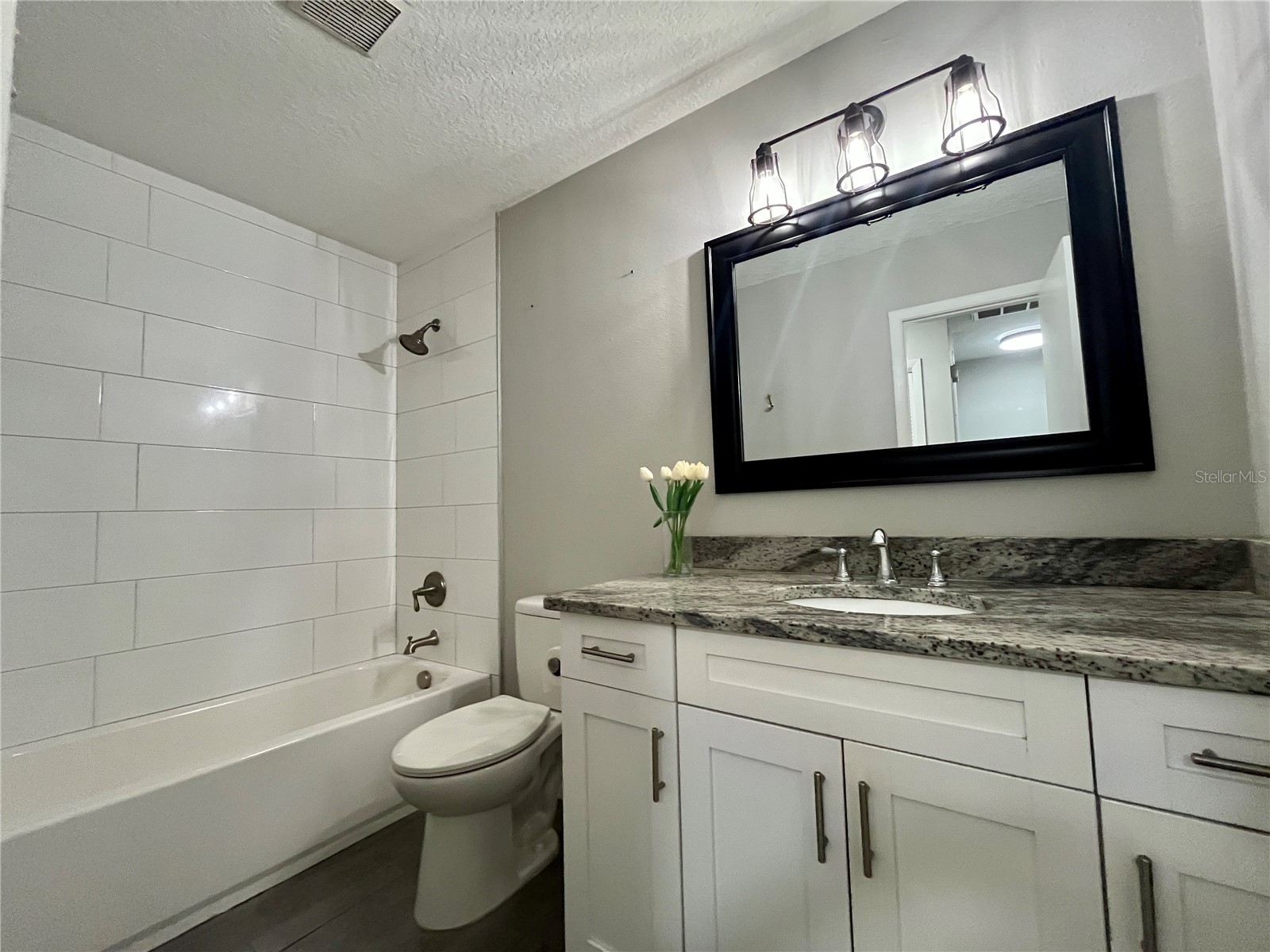 727 N Himes Avenue Tampa FL 33609 TB8488559 image22