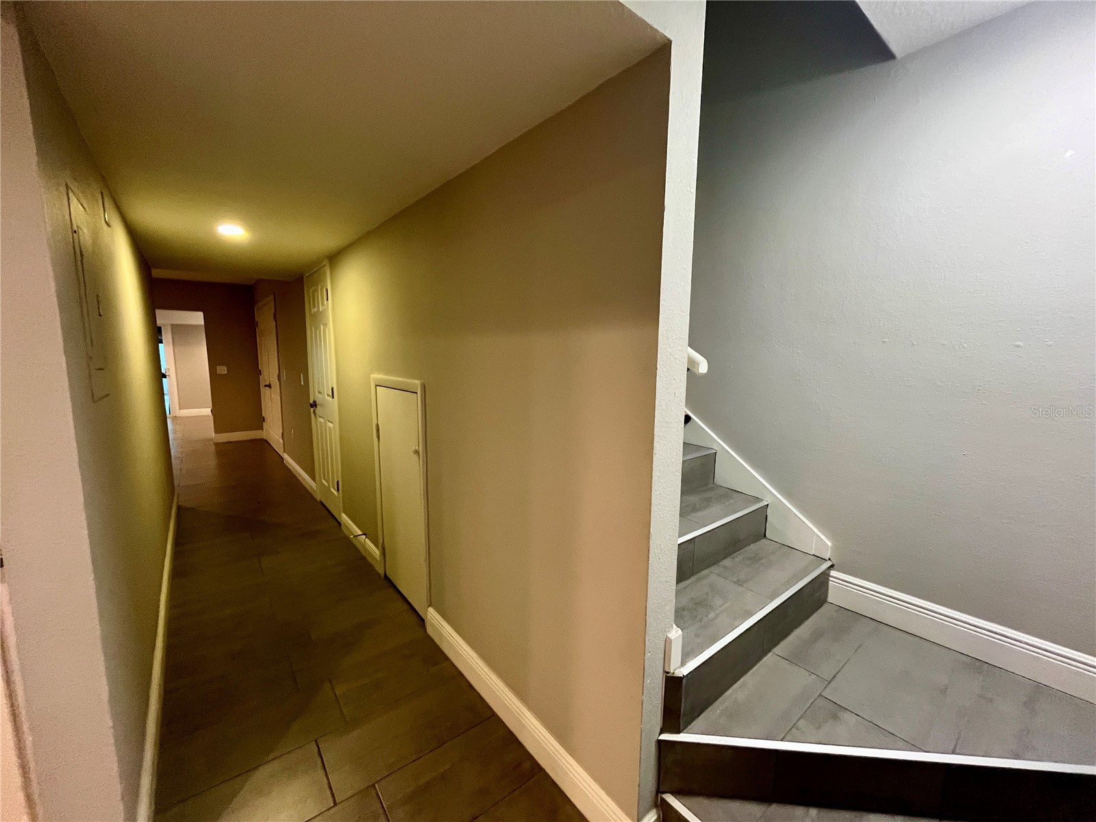 727 N Himes Avenue Tampa FL 33609 TB8488559 image4