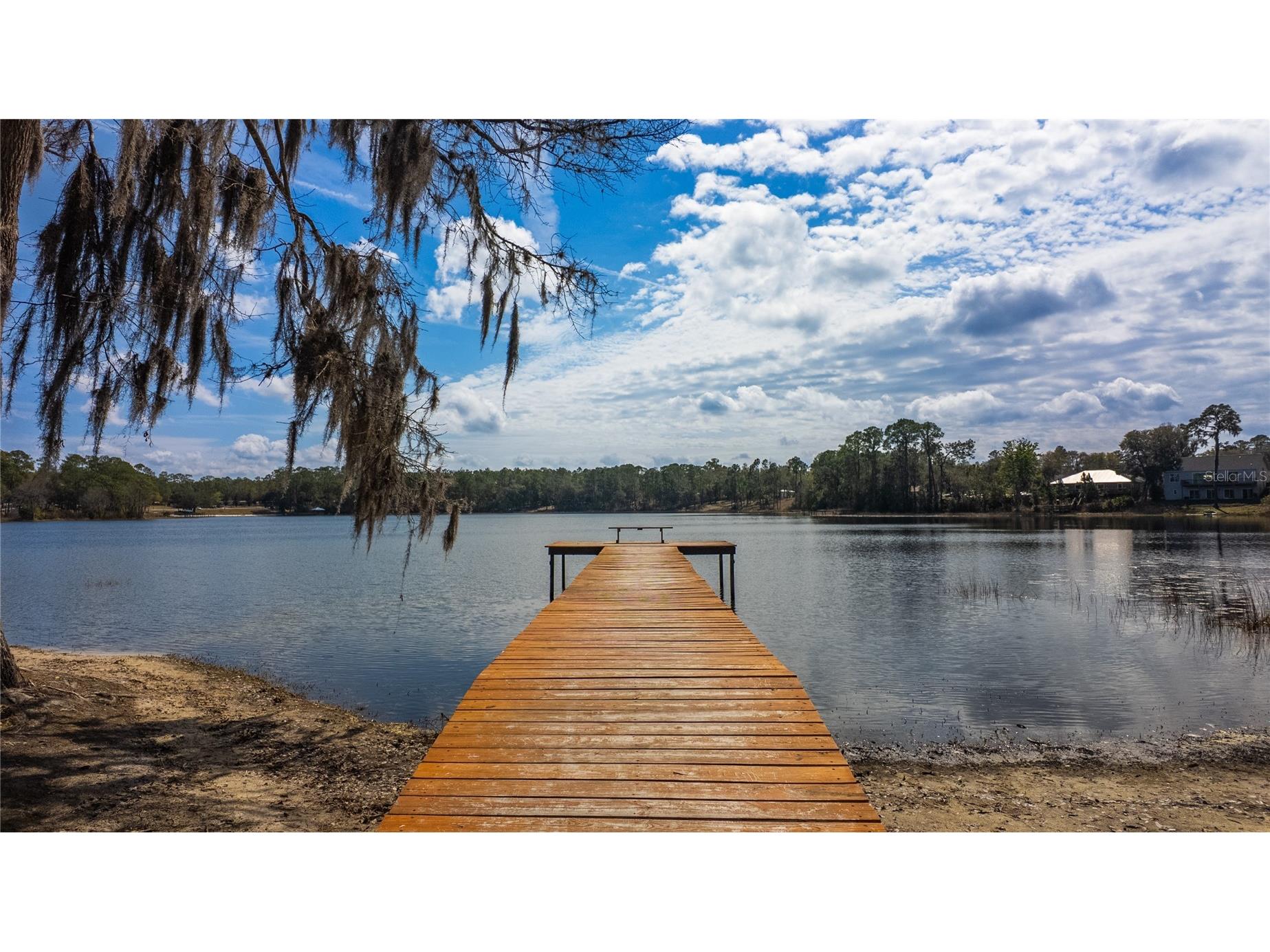 727 NE 130th Terrace Silver Springs FL 34488 OM718680 image60