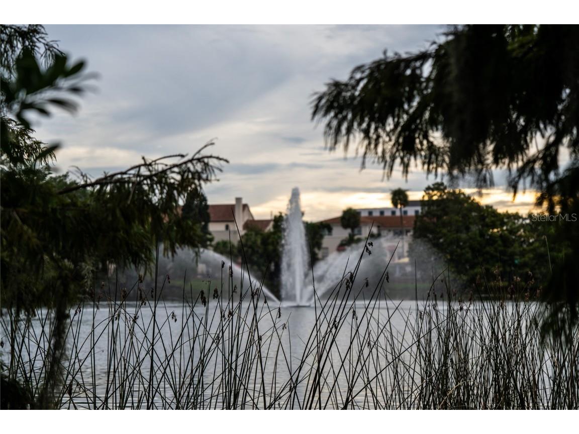727 Park Lake Circle Orlando FL 32803 - Park O6337477 image43