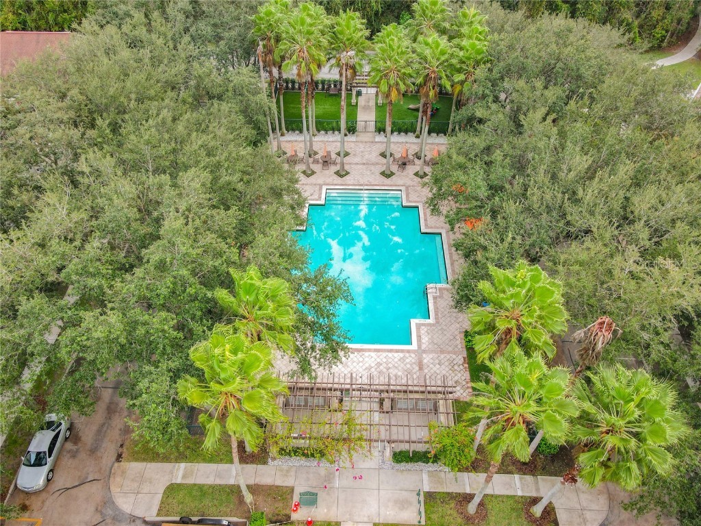 727 Siena Palm Drive Celebration FL 34747 S5124912 image19