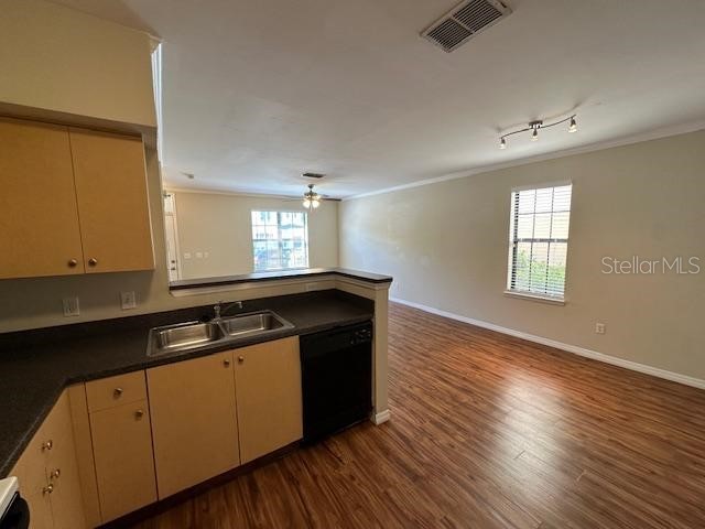 727 Siena Palm Drive Celebration FL 34747 S5124912 image5