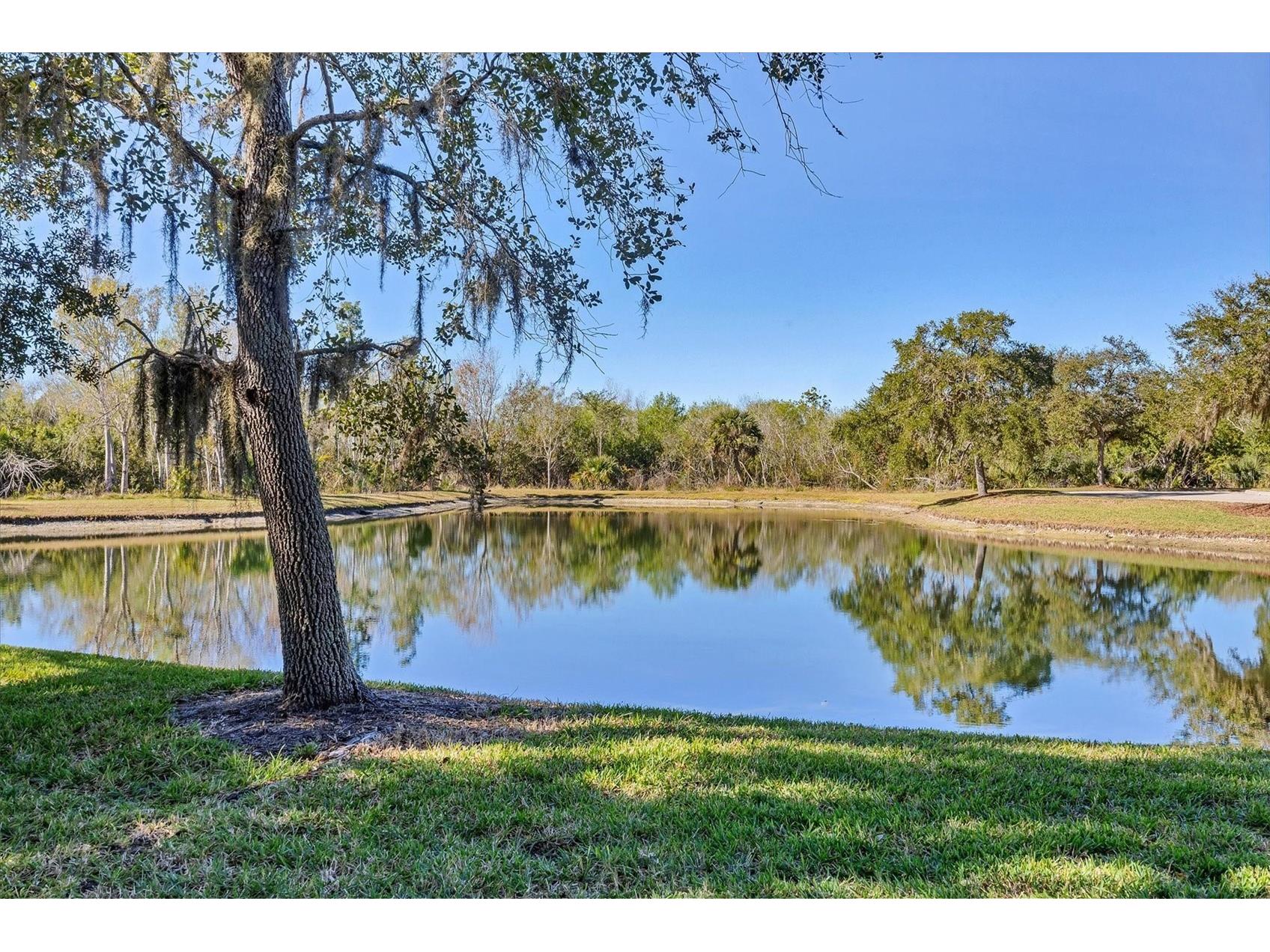 7270 Lismore Court Lakewood Ranch FL 34202 A4679101 image4