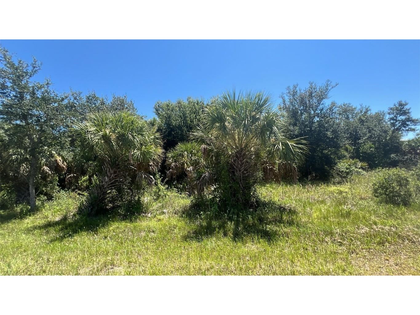 7270 Riverton Circle Port Charlotte FL 33981 O6336332 image1