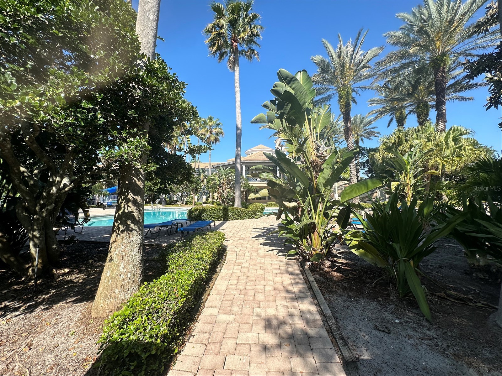 7270 Westpointe Boulevard #916 Orlando FL 32835 O6407924 image18