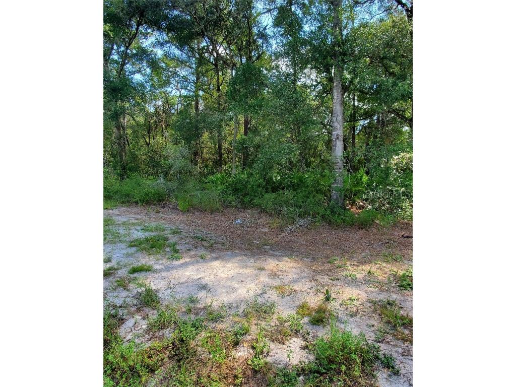 7272 Treiman Boulevard Webster FL 33597 W7858084 image1