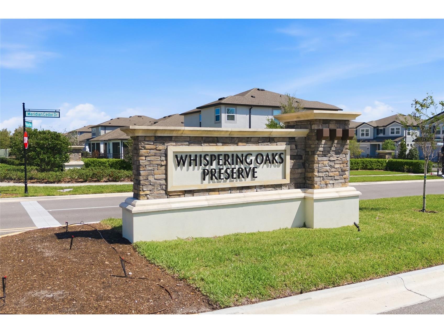 7273 Notched Pine Bend Wesley Chapel FL 33545 TB8496074 image47