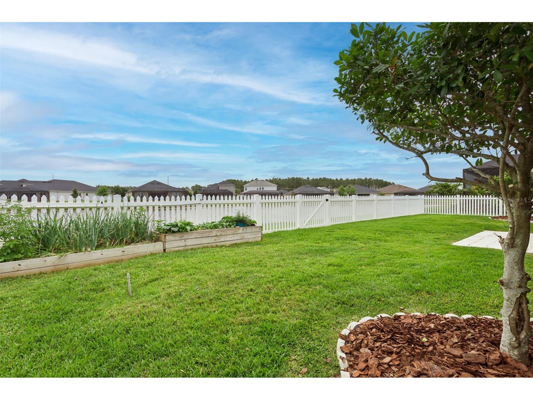 7274 Talamore Drive Wesley Chapel FL 33545 TB8507968 image47
