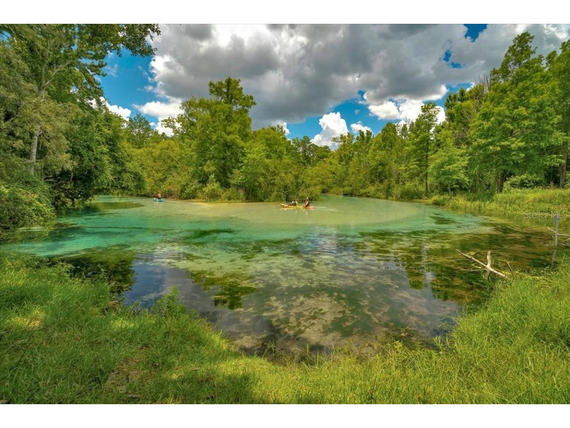 7275 Crystal Spring Run Weeki Wachee FL 34607 W7876370 image65