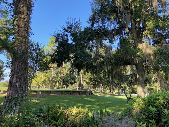 7277 White Oaks Road Alachua FL 32615 GC533211 image41