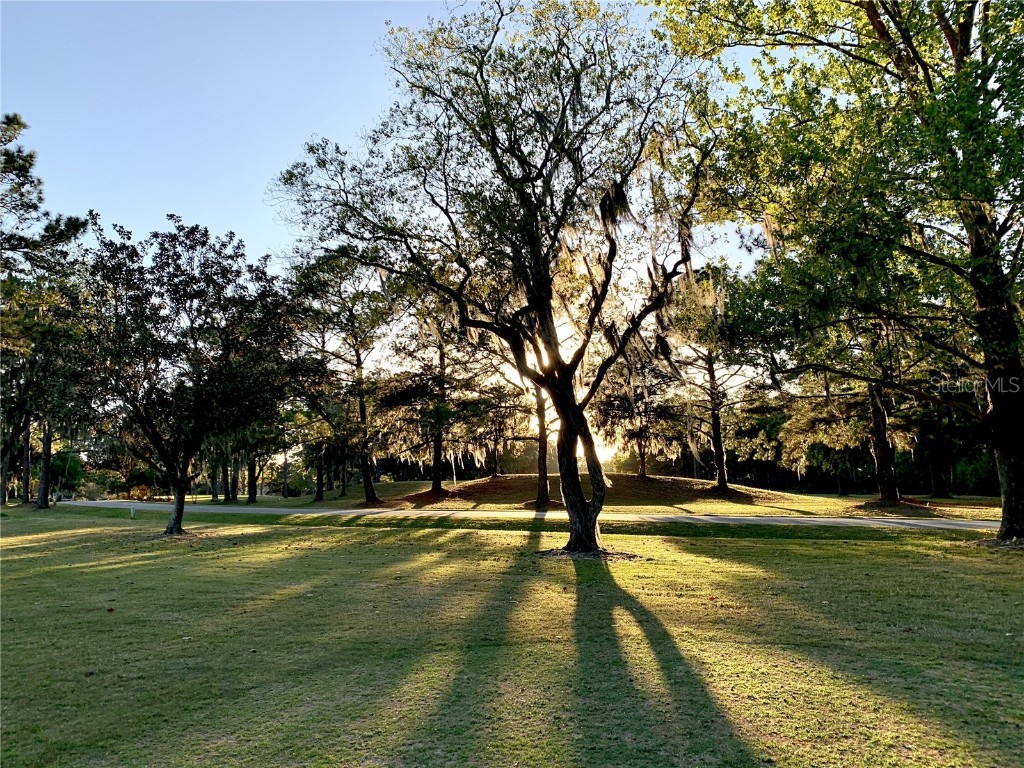 7277 White Oaks Road Alachua FL 32615 GC533211 image42