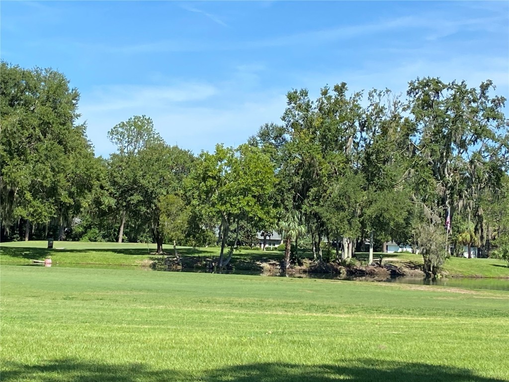 7277 White Oaks Road Alachua FL 32615 GC533211 image50