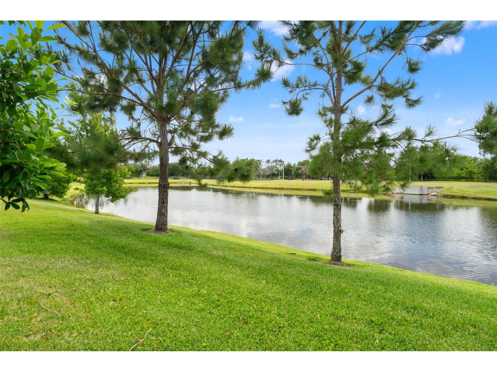 7278 Pool Compass Loop Wesley Chapel FL 33545 TB8503382 image4