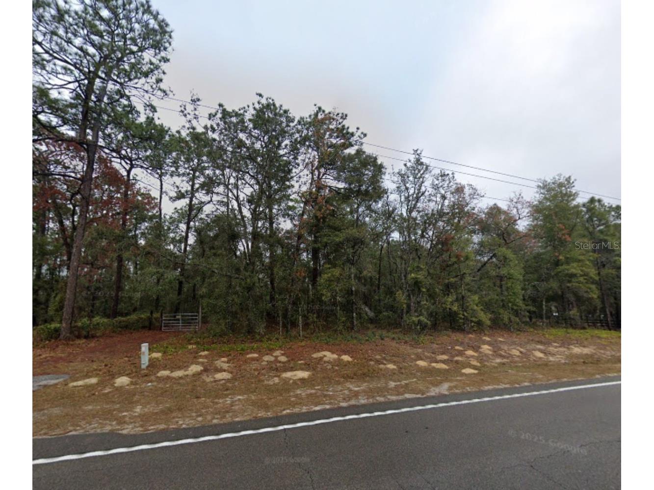 728 Florida 26 Melrose FL 32666 G5109398 image11
