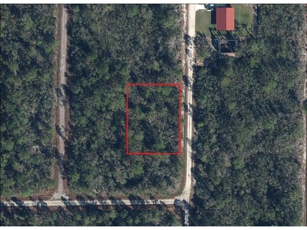 728 Fulton Street Lake Placid FL 33852 L4952255 image1