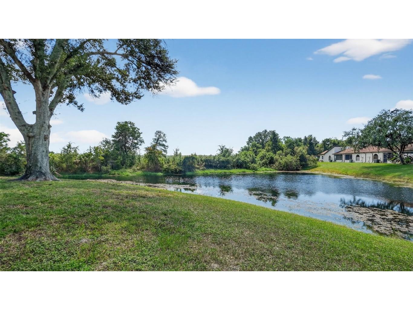 7280 Scotland Circle Weeki Wachee FL 34613 W7879363 image10