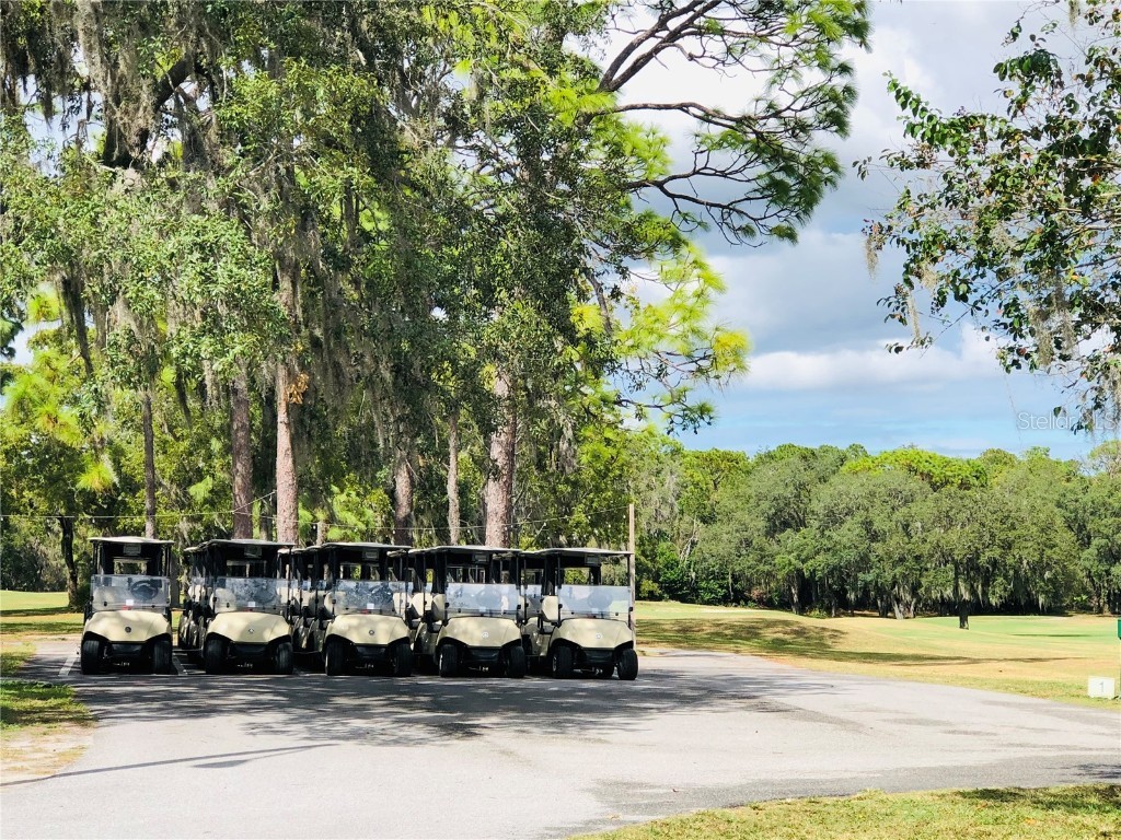 7280 Scotland Circle Weeki Wachee FL 34613 W7879363 image34