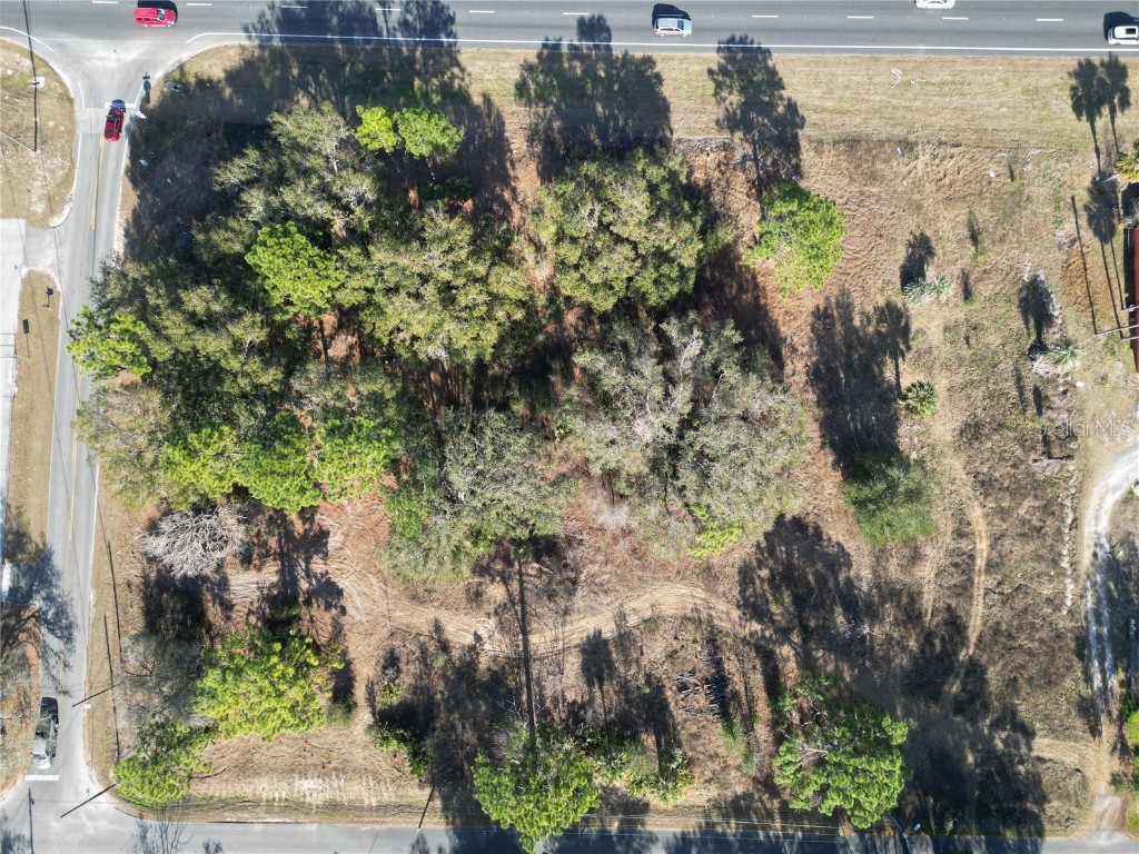 7280 SE 123rd Lane Belleview FL 34420 TB8349196 image12