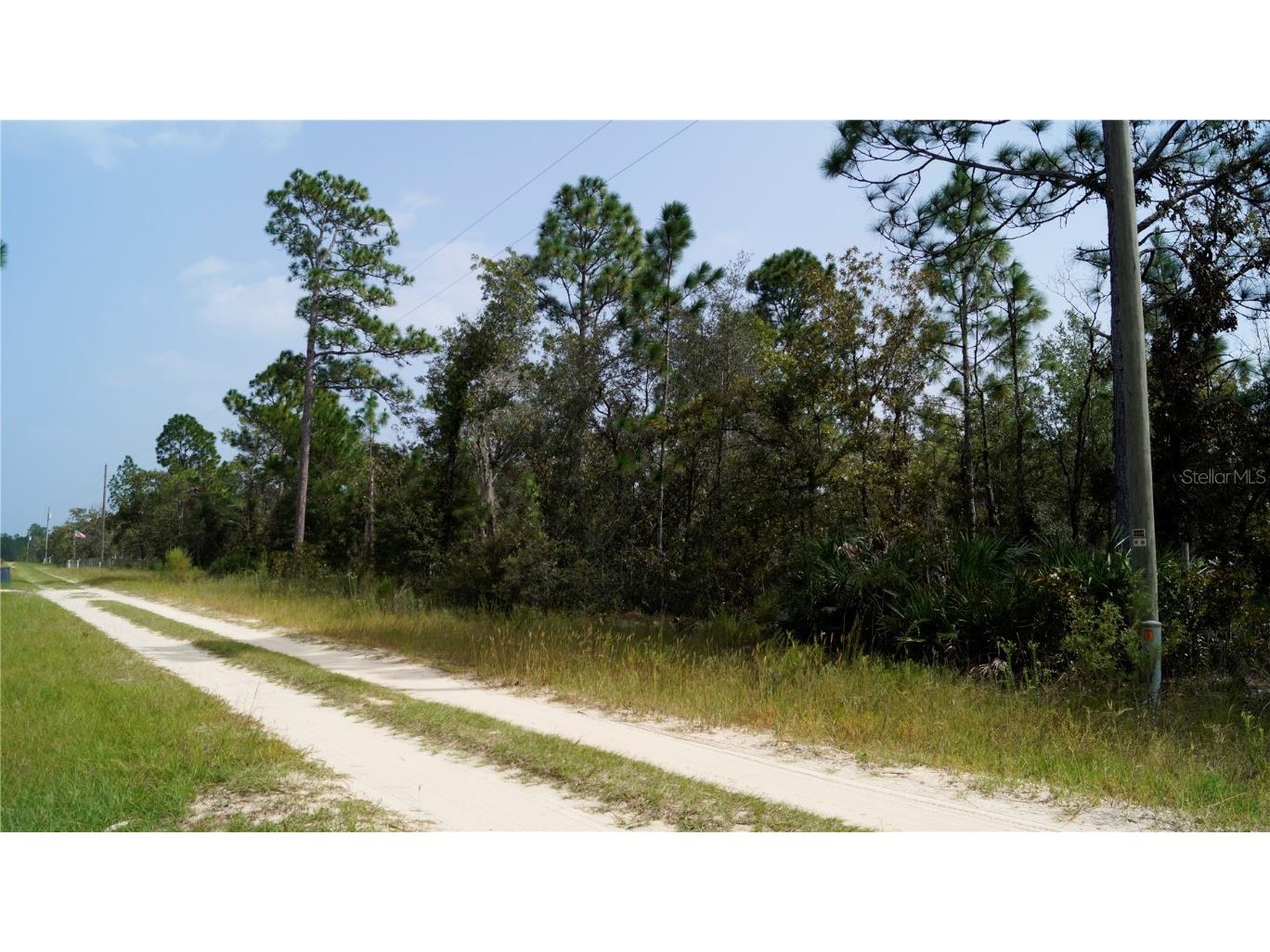 7280 W August Lane Dunnellon FL 34433 OM666283 image1