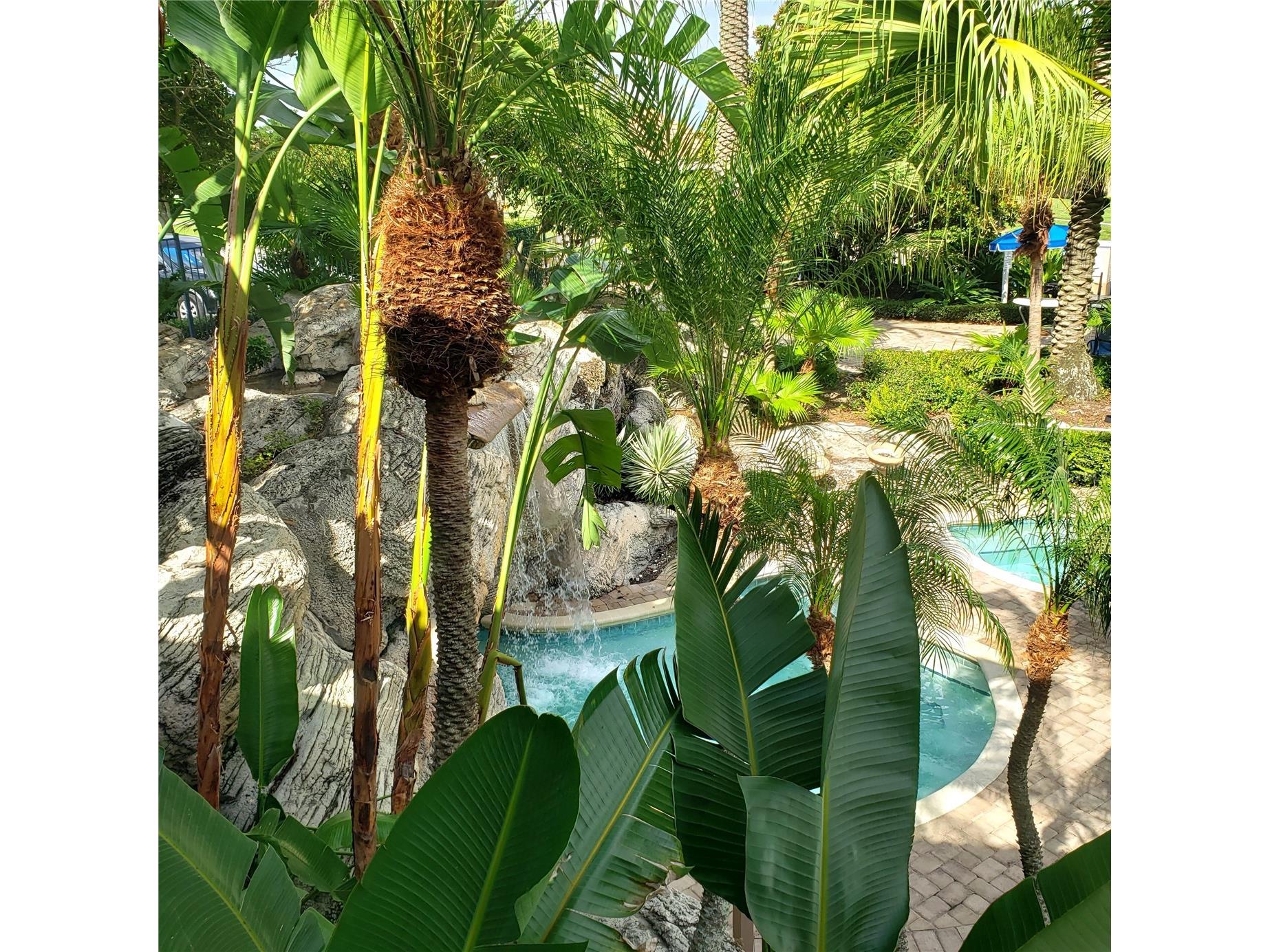 7280 Westpointe Boulevard #831 Orlando FL 32835 O6409346 image31