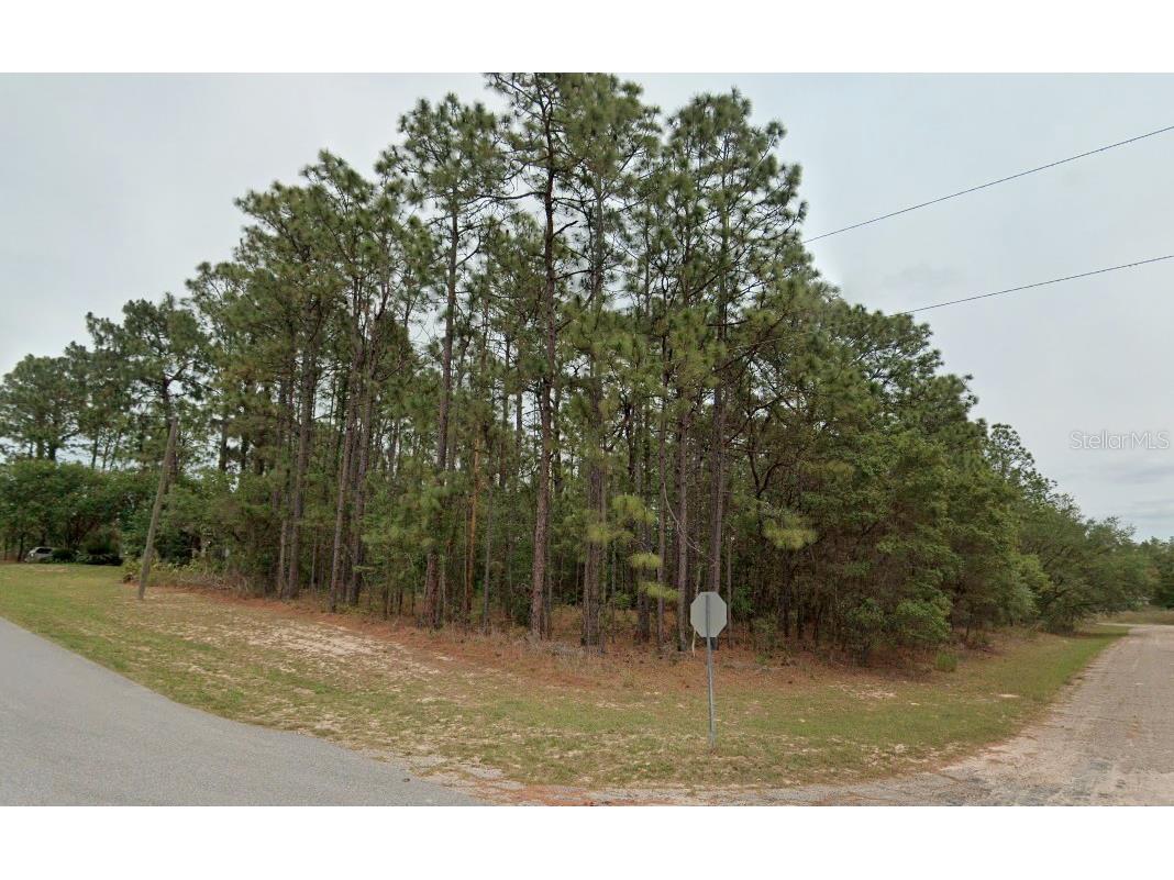 7281 N Waterfall Terrace Citrus Springs FL 34434 O6165796 image1