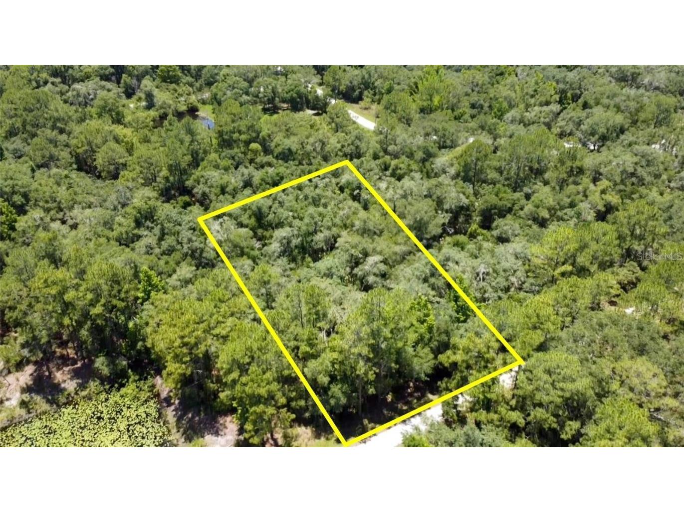 7281 Sonia Avenue Webster FL 33597 U8198114 image1