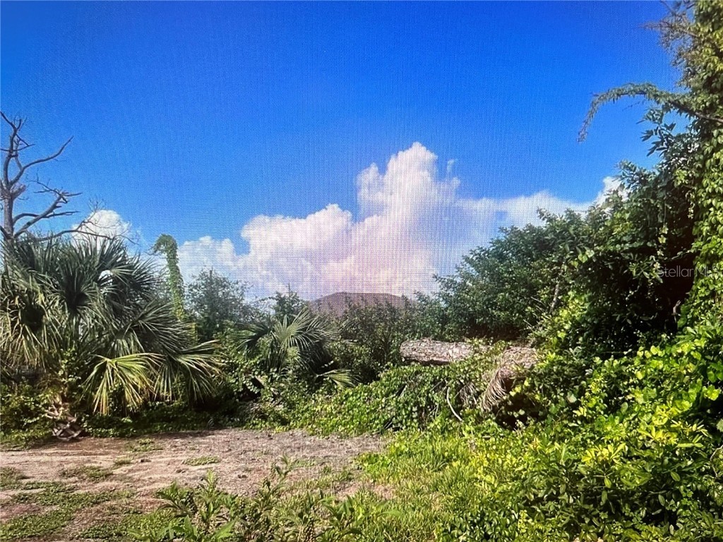 7282 Rosemont Drive Englewood FL 34224 - MARCH WATERWAY N6139817 image2