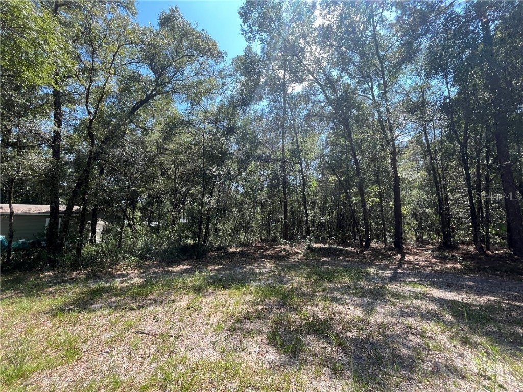 7282 W Parrish Lane Dunnellon FL 34433 OK223169 image1