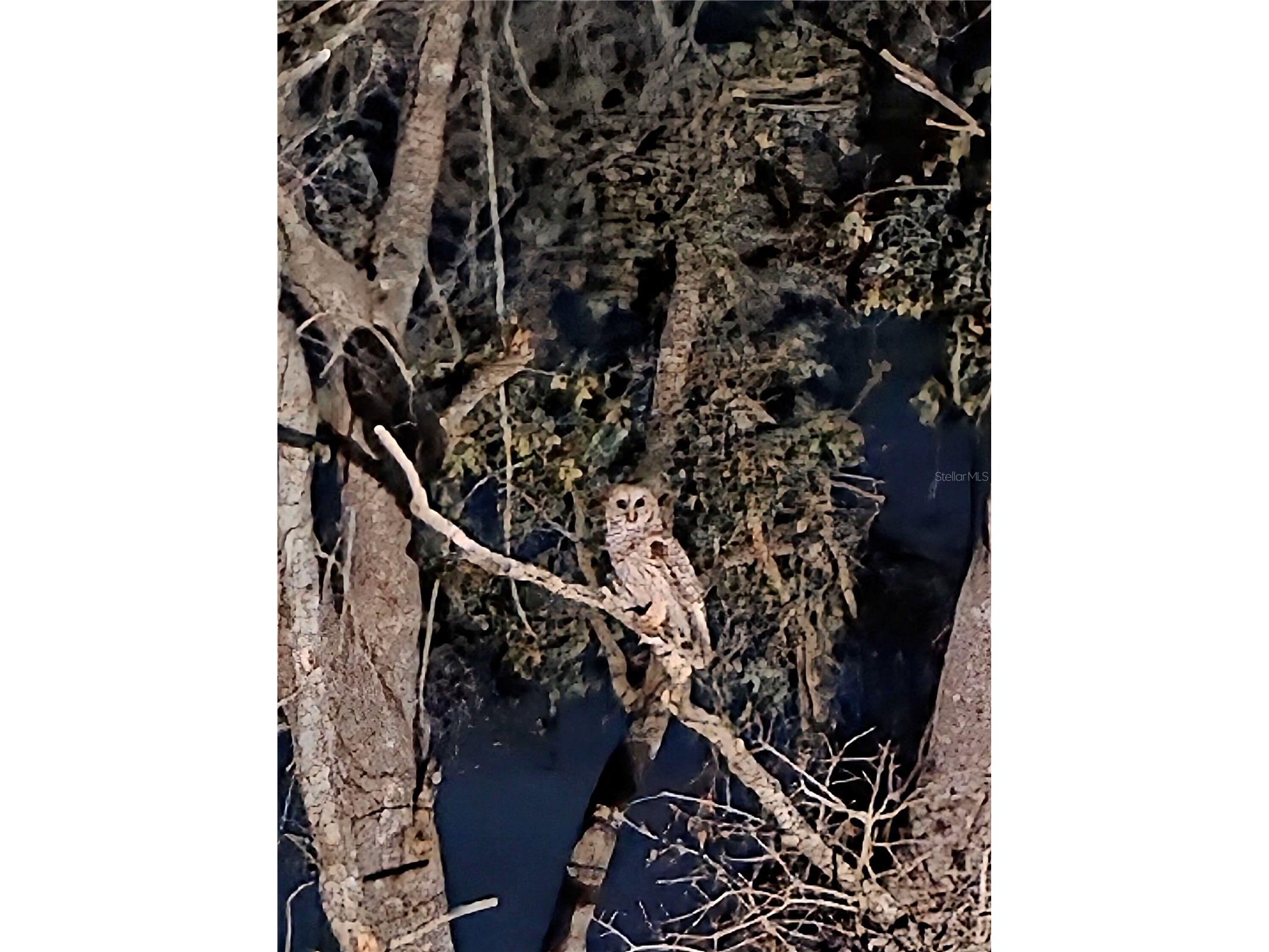 7283 SW Environmental Lab Street Arcadia FL 34266 N6141931 image37