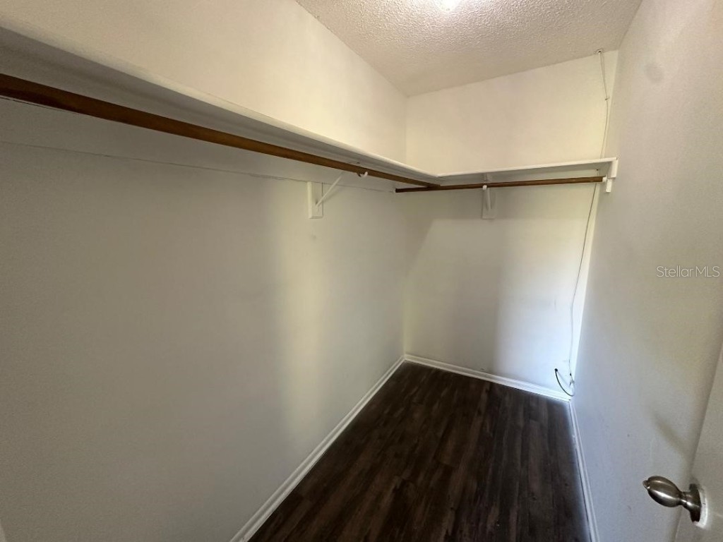 7284 Abbey Lane Winter Park FL 32792 O6351682 image13