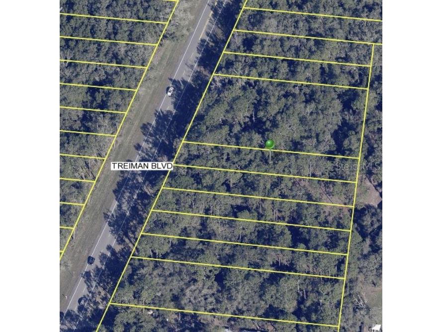 7284 Treiman Boulevard Webster FL 33597 W7868582 image1