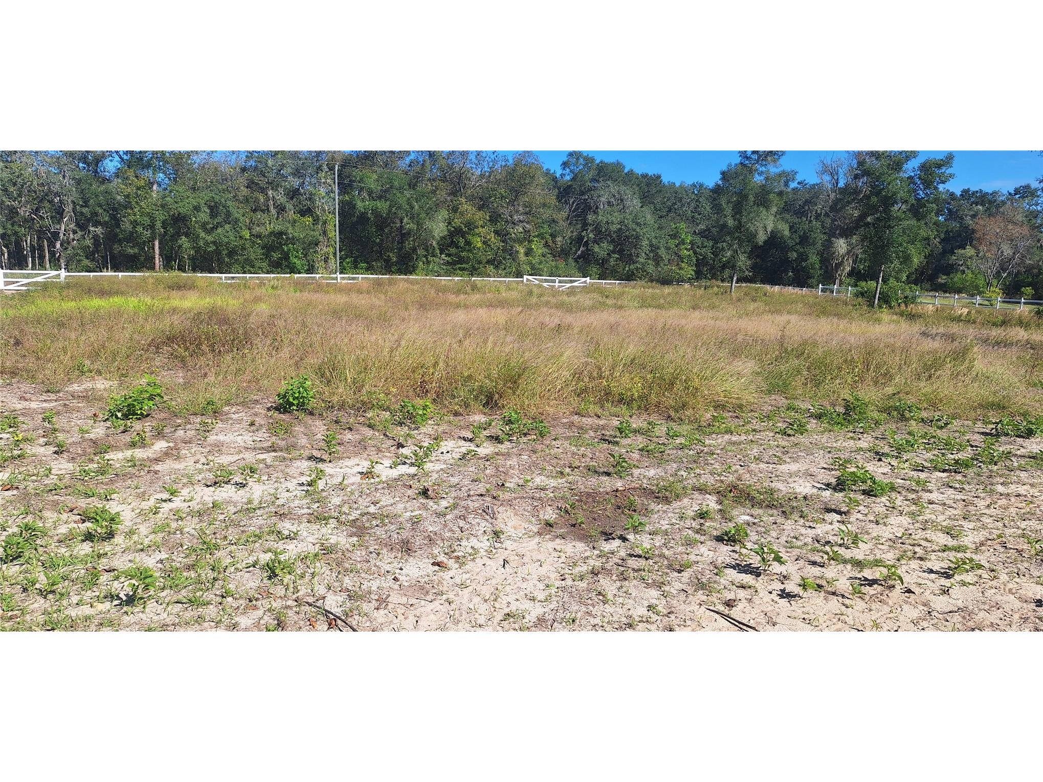 7285 Norman Street Webster FL 33597 TB8469443 image11