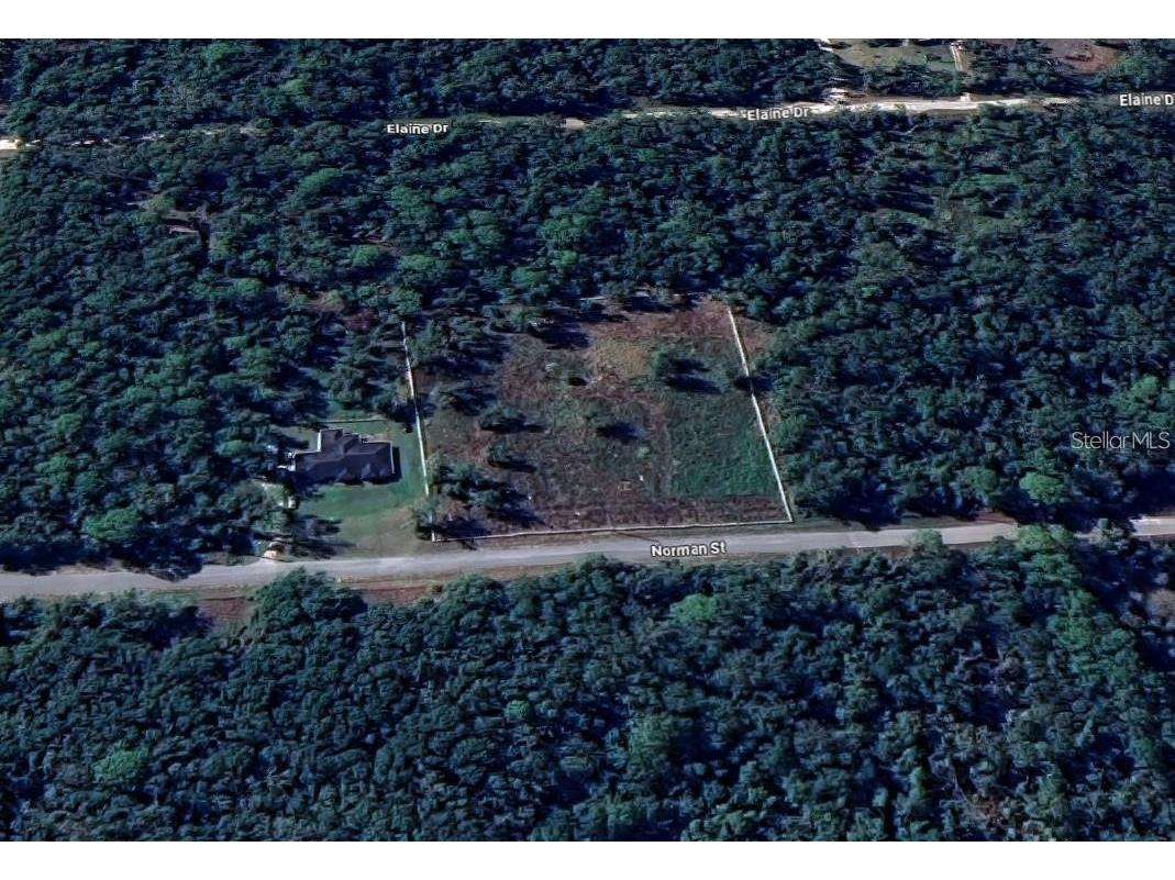 7285 Norman Street Webster FL 33597 TB8469443 image4