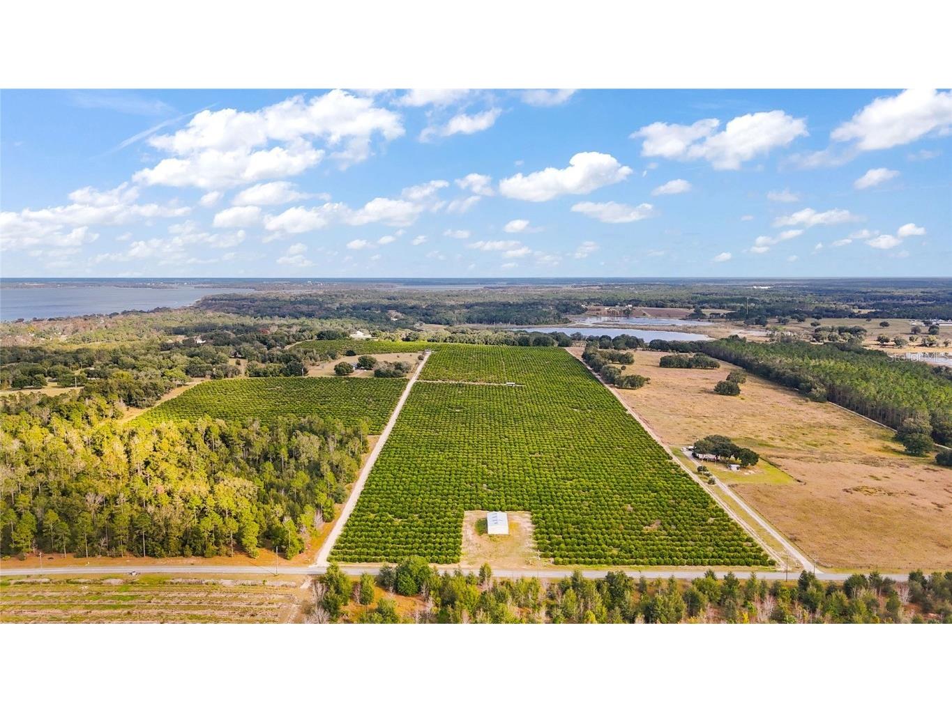 7285 Number 2 Road Howey In The Hills FL 34737 G5077350 image1