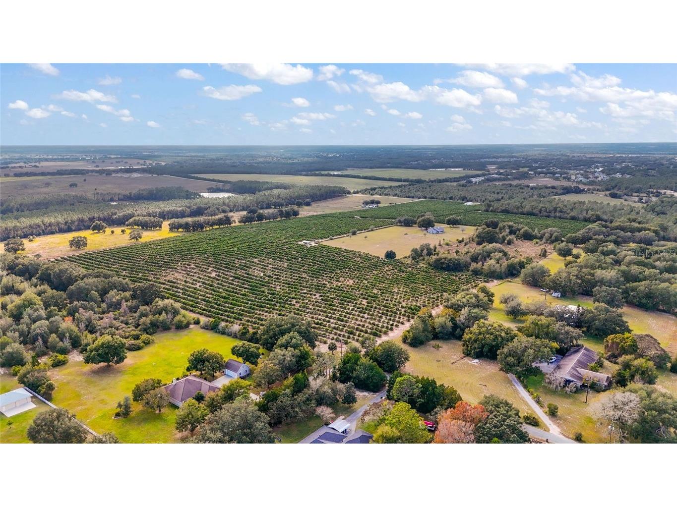 7285 Number 2 Road Howey In The Hills FL 34737 G5077350 image11