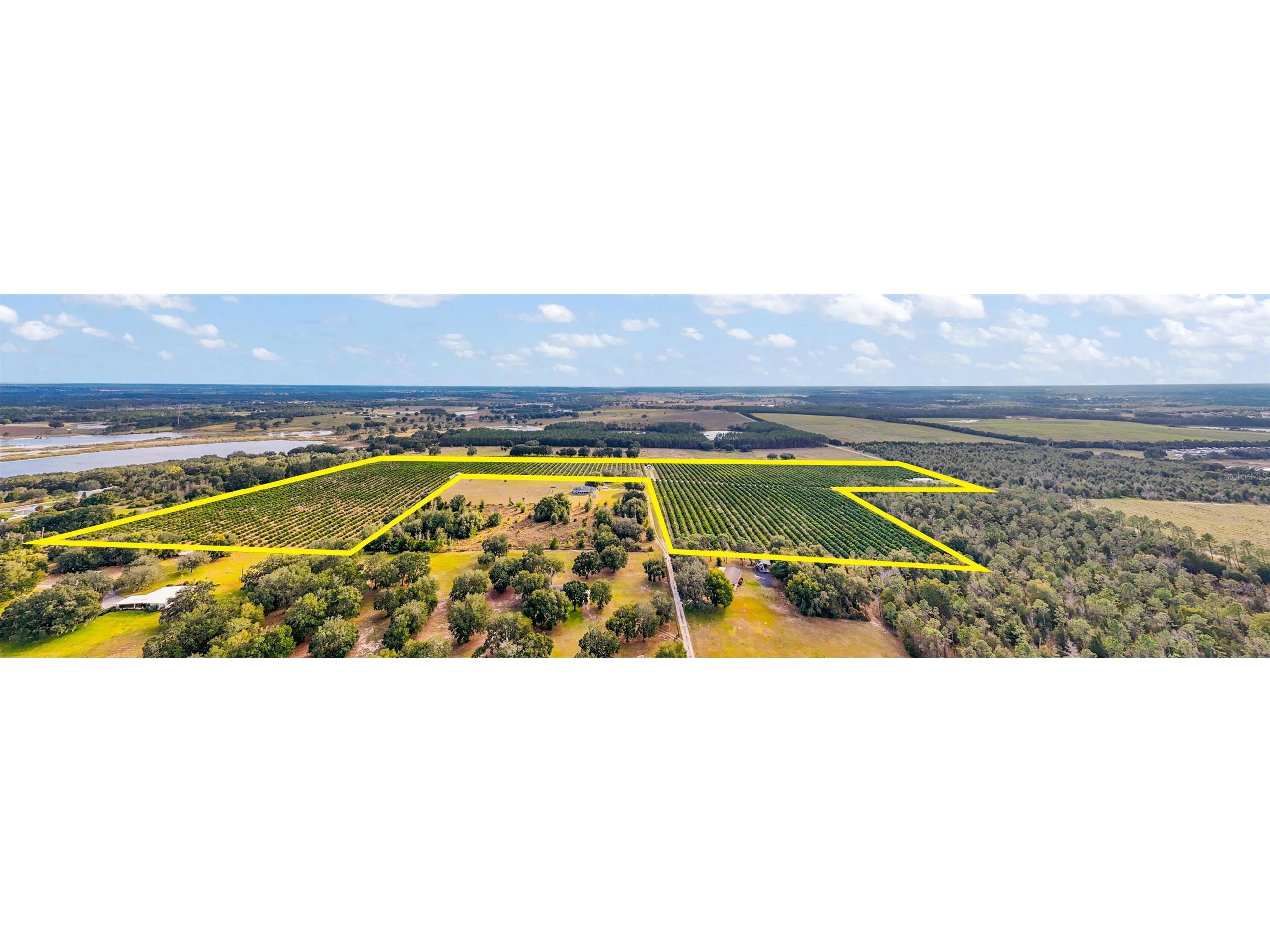 7285 Number 2 Road Howey In The Hills FL 34737 G5077350 image12