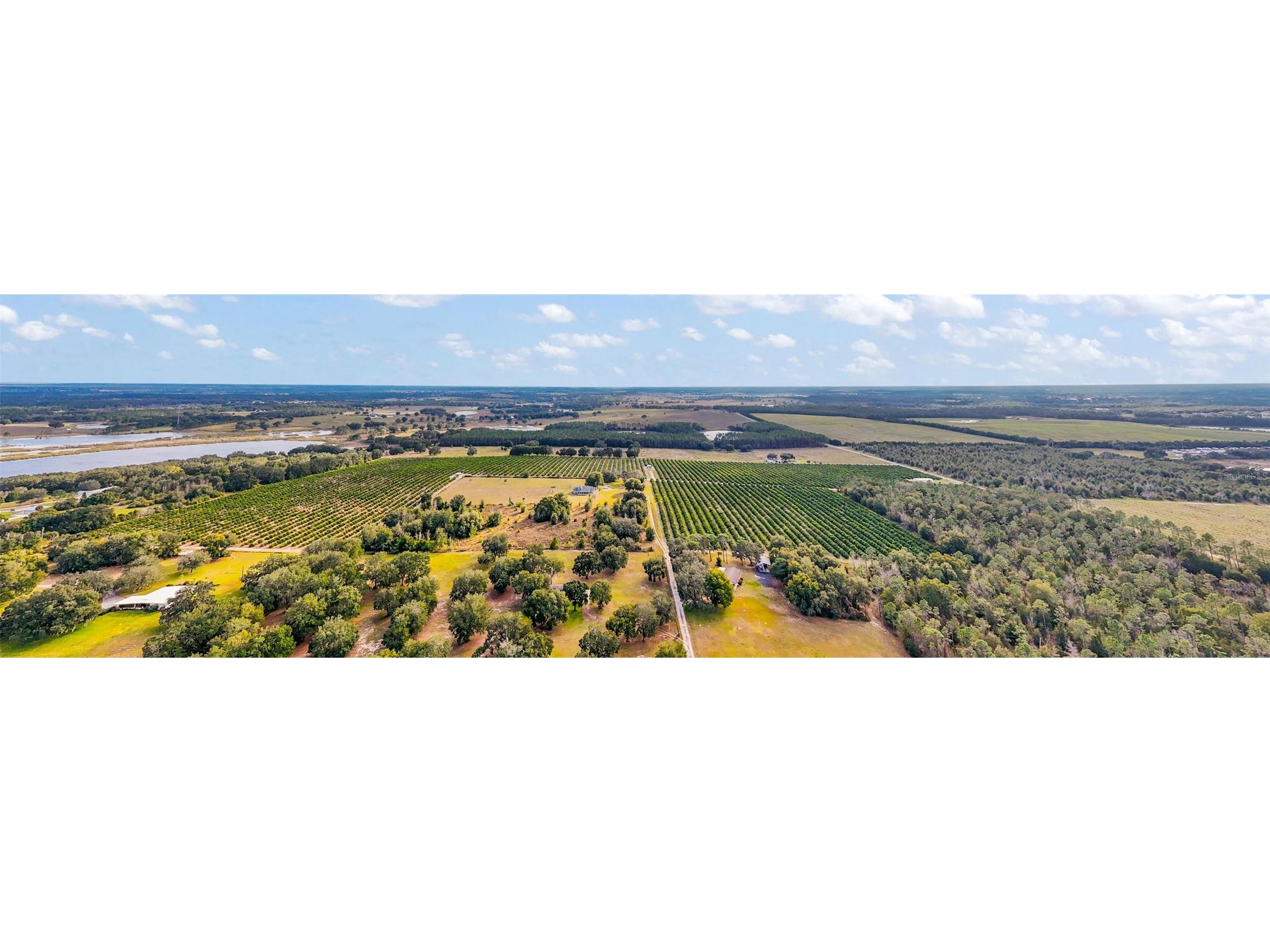 7285 Number 2 Road Howey In The Hills FL 34737 G5077350 image13