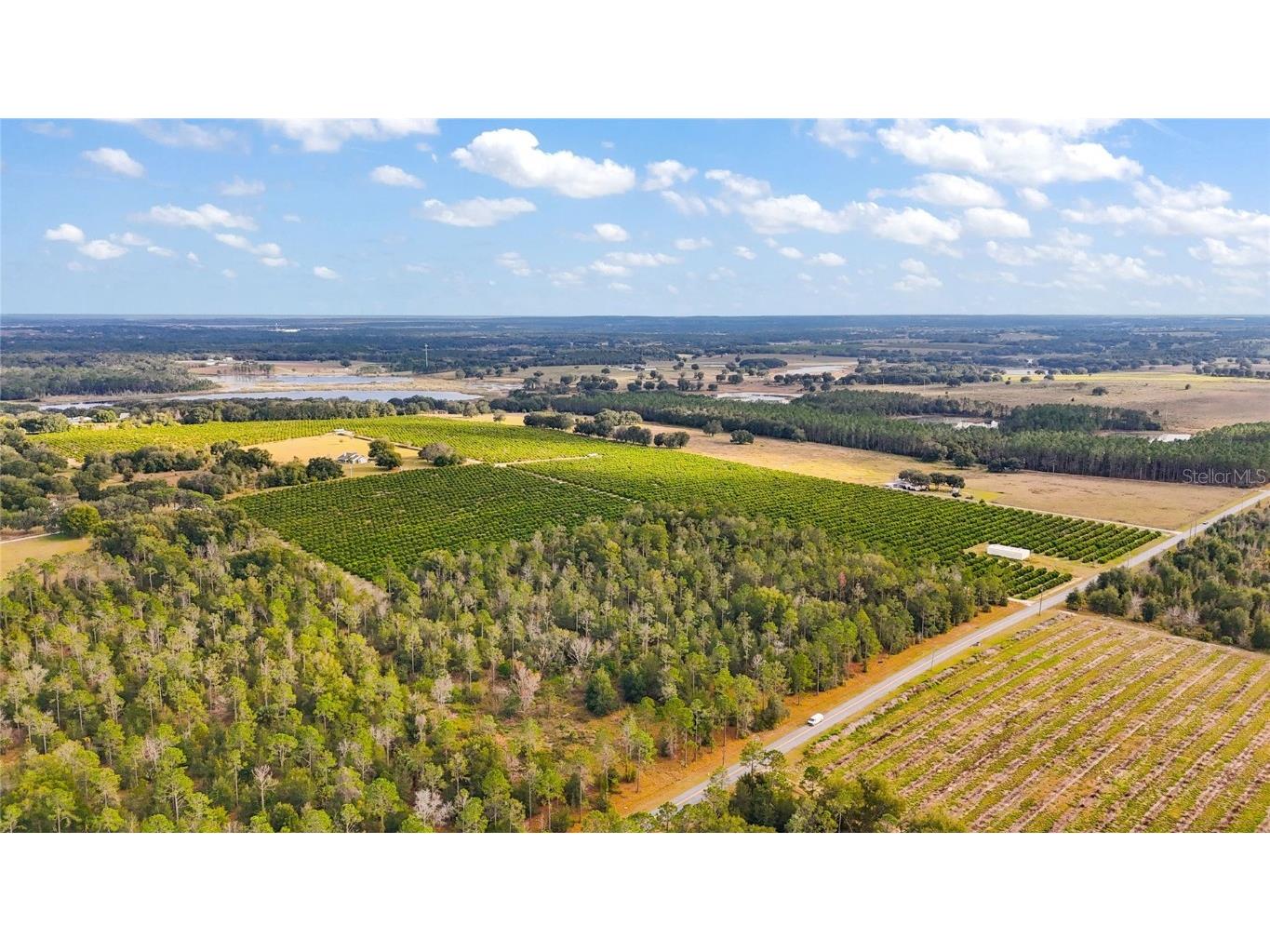 7285 Number 2 Road Howey In The Hills FL 34737 G5077350 image14