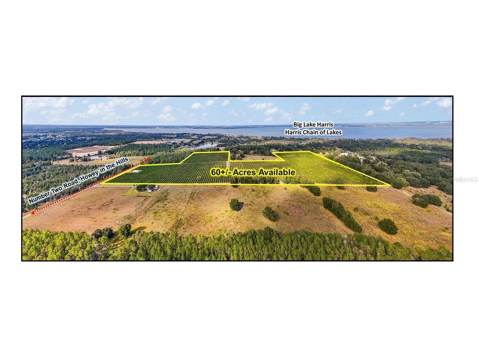 7285 Number 2 Road Howey In The Hills FL 34737 G5077350 image2