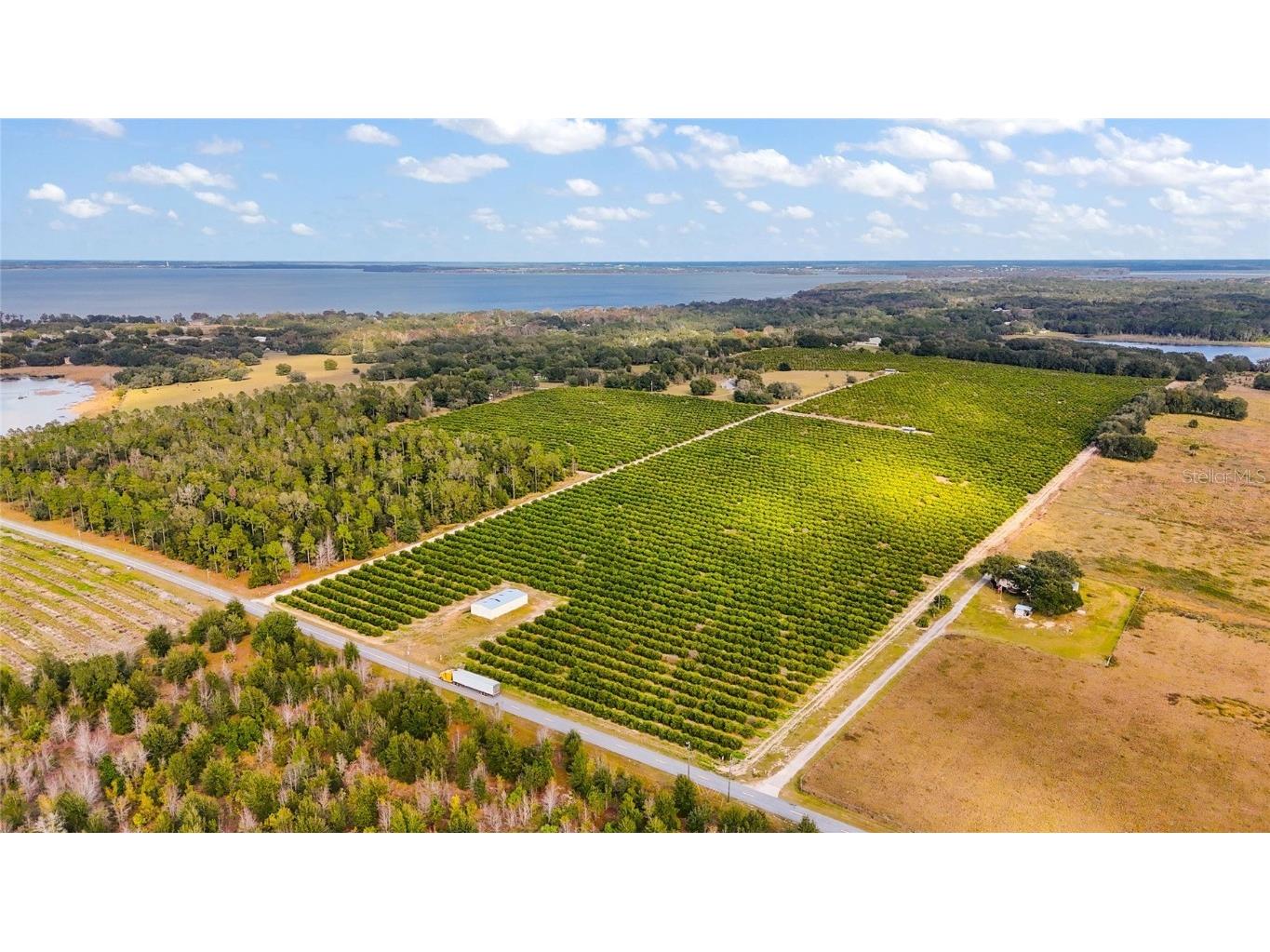 7285 Number 2 Road Howey In The Hills FL 34737 G5077350 image4